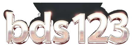 bds123 logo